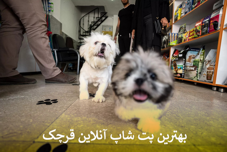 بهترین پت شاپ آنلاین قرچک بصورت شبانه روزی