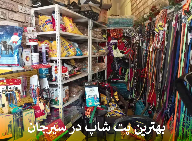 پت شاپ آنلاین سیرجان بصورت شبانه روزی