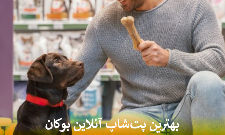 بهترین پت شاپ آنلاین بوکان بصورت شبانه روزی