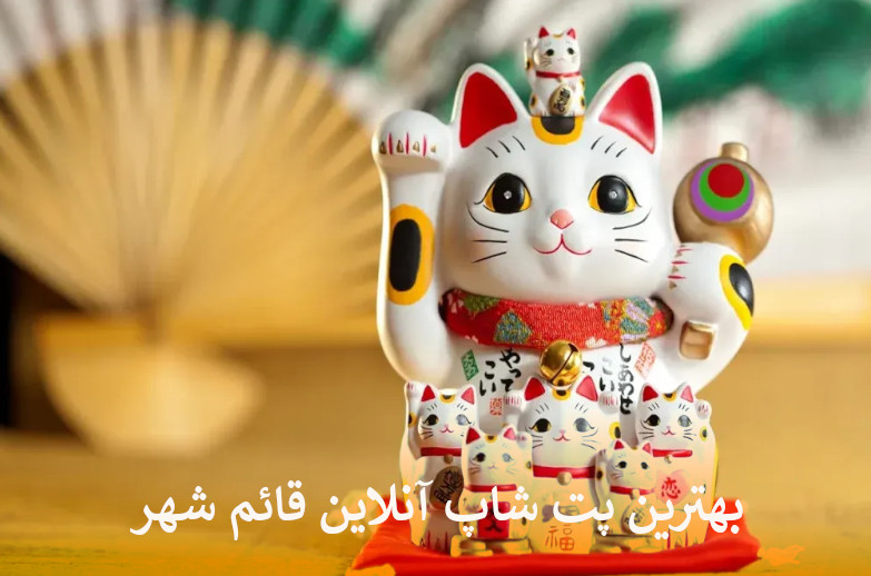 بهترین پت شاپ آنلاین قائم شهر بصورت شبانه روزی