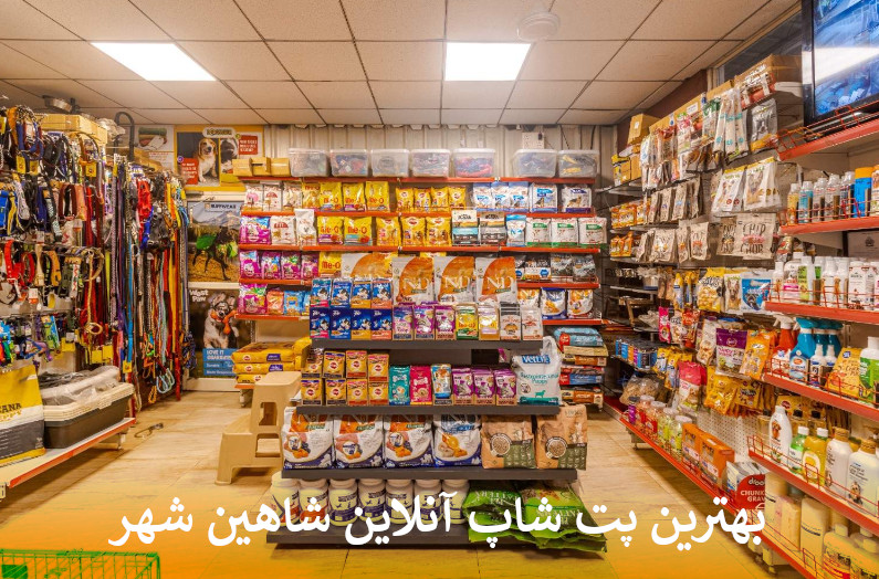 بهترین پت شاپ آنلاین شاهین شهر بصورت شبانه روزی