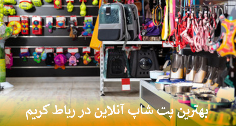 بهترین پت شاپ آنلاین رباط کریم بصورت شبانه روزی