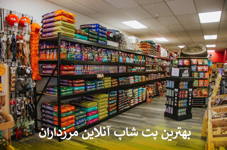 بهترین پت شاپ آنلاین مرزداران بصورت شبانه روزی