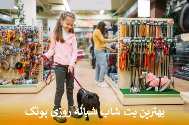 بهترین پت شاپ آنلاین پونک بصورت شبانه روزی