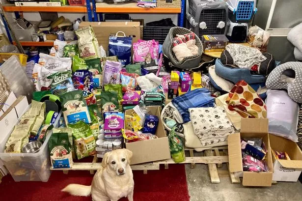 بهترین پت شاپ آنلاین آزادی