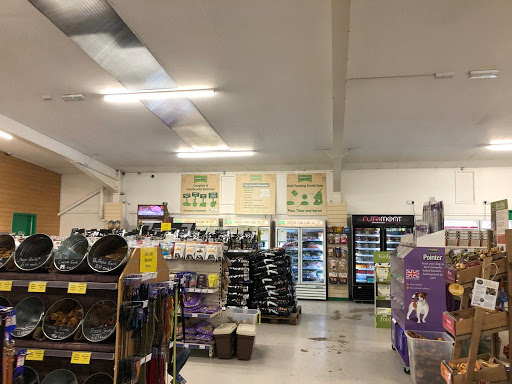 بهترین پت شاپ آنلاین رسالت بصورت شبانه روزی