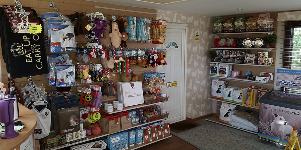 بهترین پت شاپ آنلاین آزادی