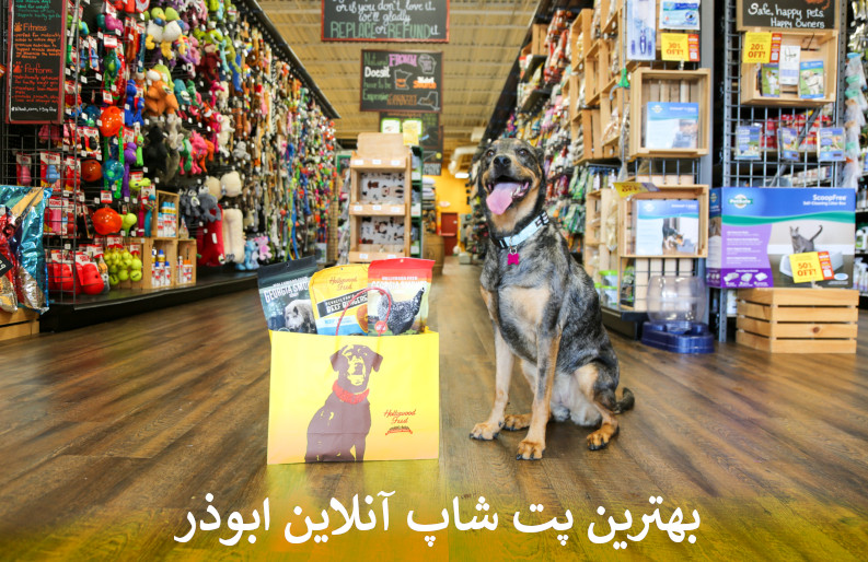 بهترین پت شاپ آنلاین ابوذر بصورت شبانه روزی