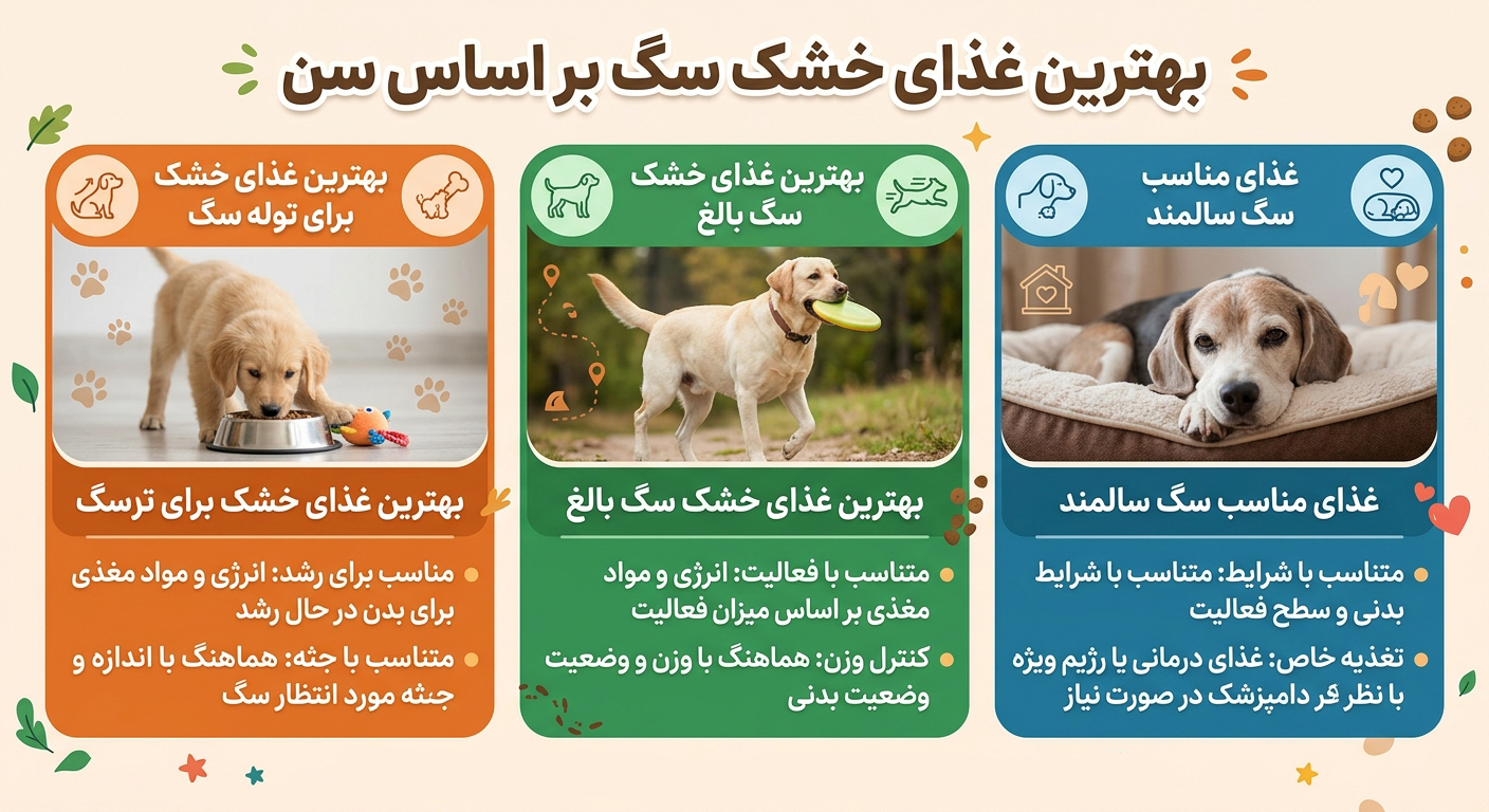 انتخاب غذای خشک سگ بر اساس سن