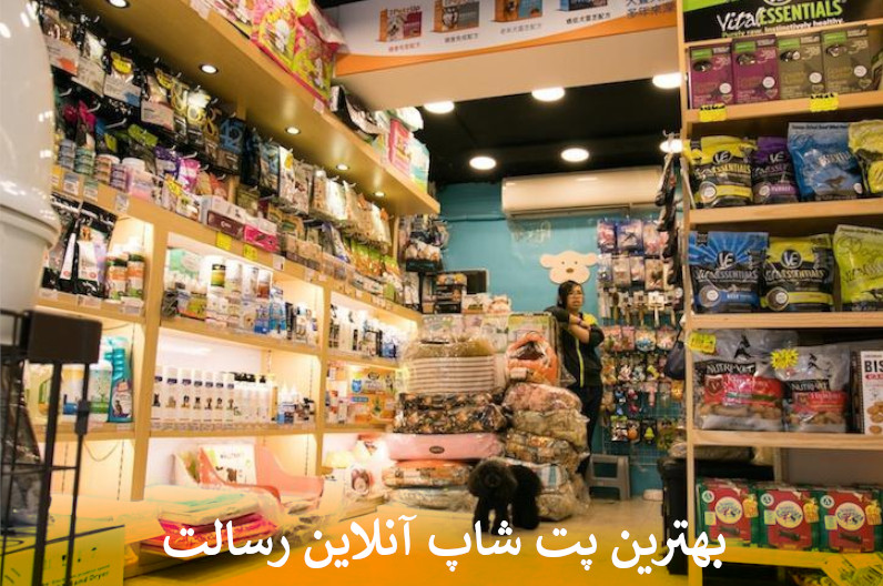 بهترین پت شاپ آنلاین رسالت بصورت شبانه روزی