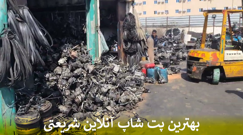 بهترین پت شاپ آنلاین شریعتی بصورت شبانه روزی