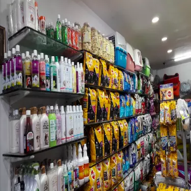 بهترین پت شاپ آنلاین حکیم بصورت شبانه روزی